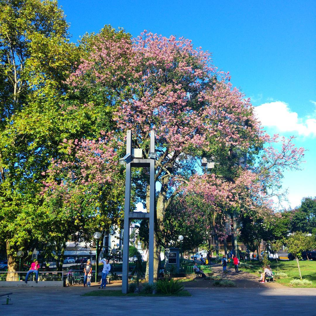 PraÃ§a Vico Barbieri