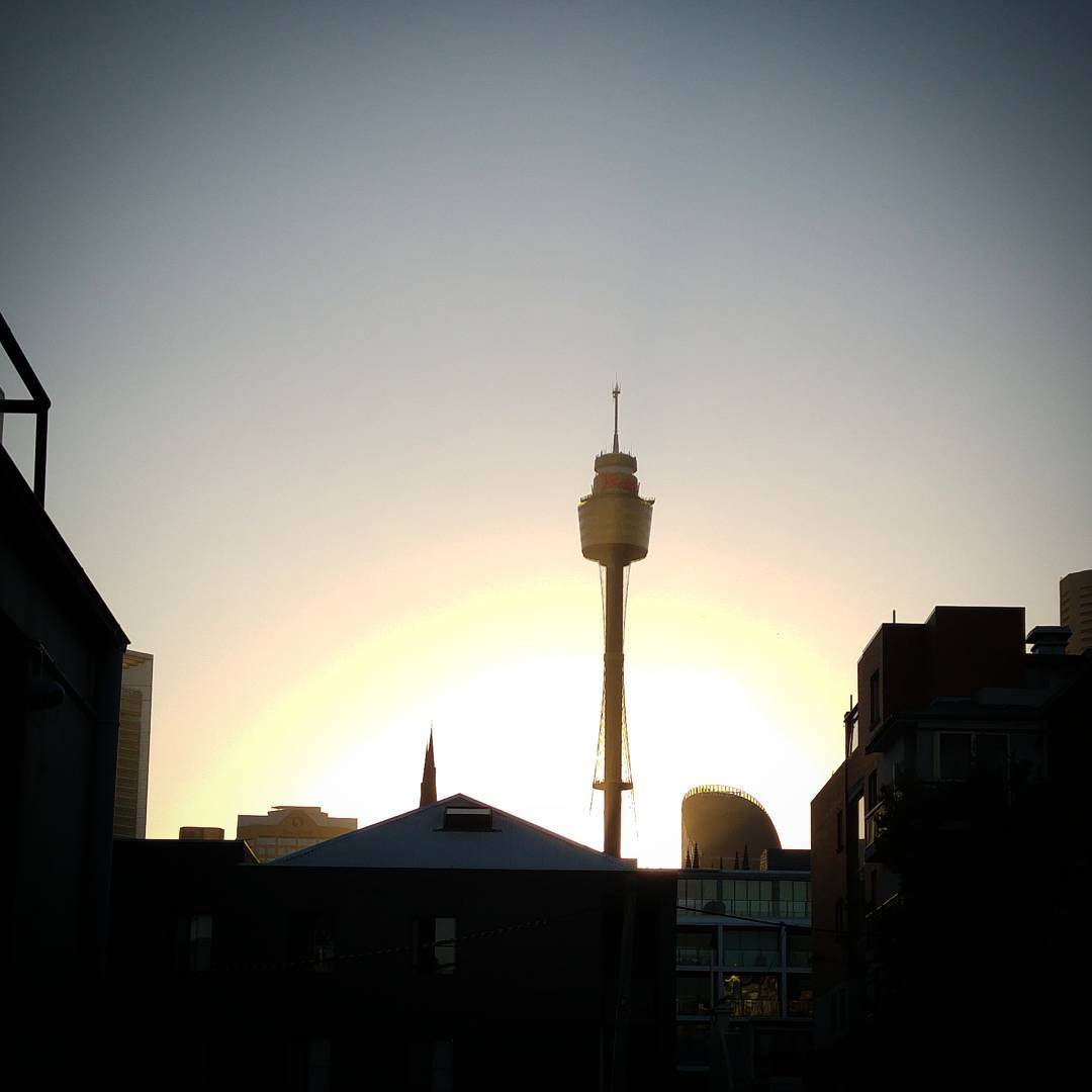 golden sydney afternoon