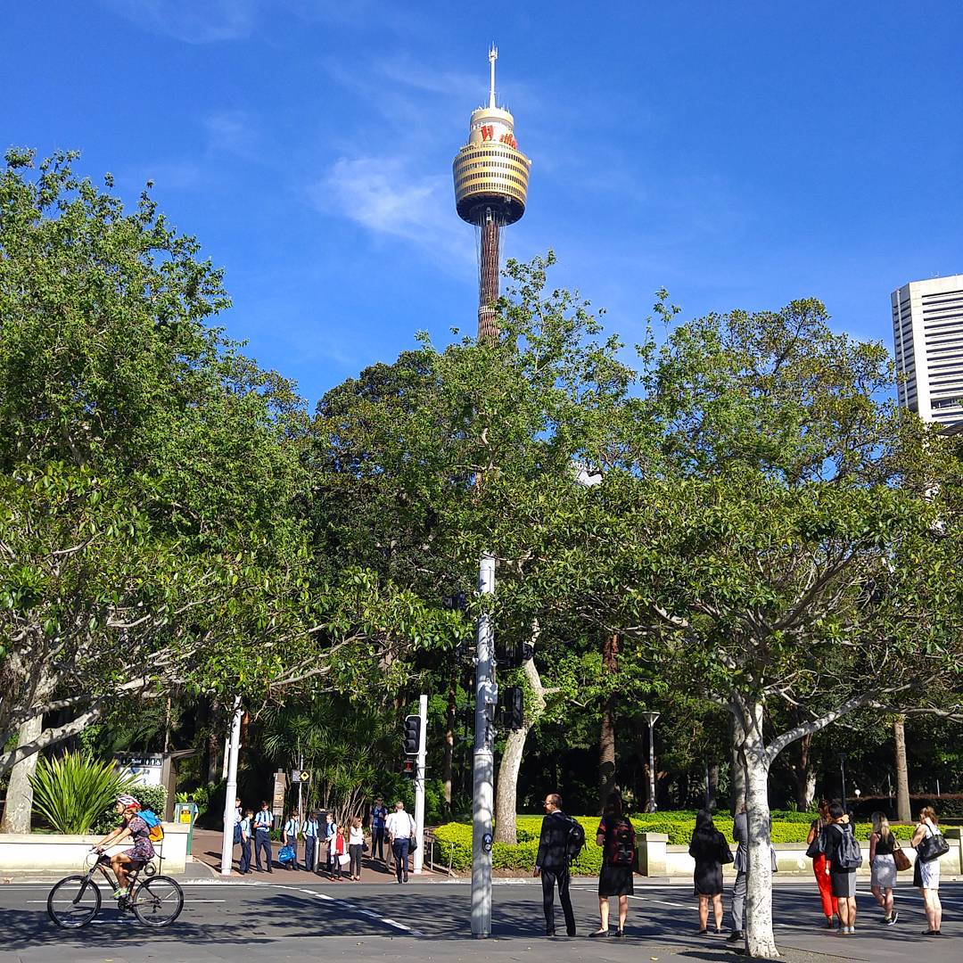 My walk commute to work. First photo taken by my new phone & my first instagram.